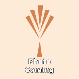 Photo Coming