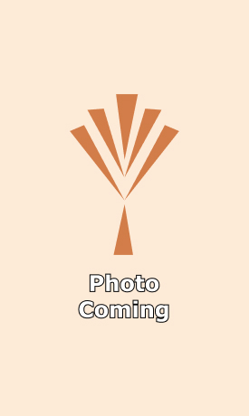 Photo Coming